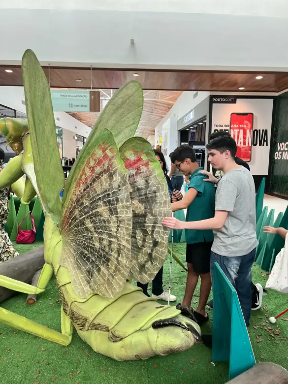 WhatsApp Image 2025-04-10 at 13.08.53