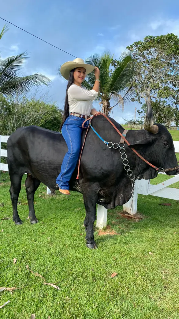 WhatsApp Image 2025-04-21 at 16.09.00