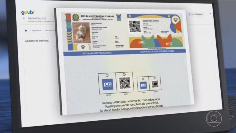 Veja como vai funcionar o cadastro nacional gratuito para cães e gatos