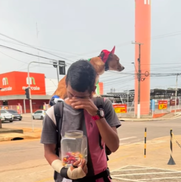 Família venezuelana busca lar para cachorrinha e apoio para viagem ao próximo destino