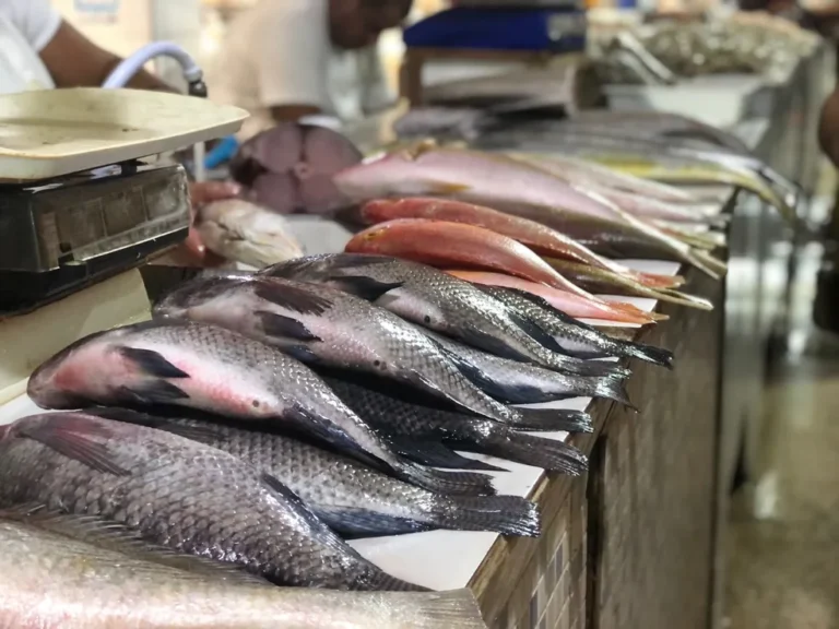 Em Cruzeiro do Sul, Feira do Peixe 2025 começa na terça-feira com expectativa de vender 10 toneladas