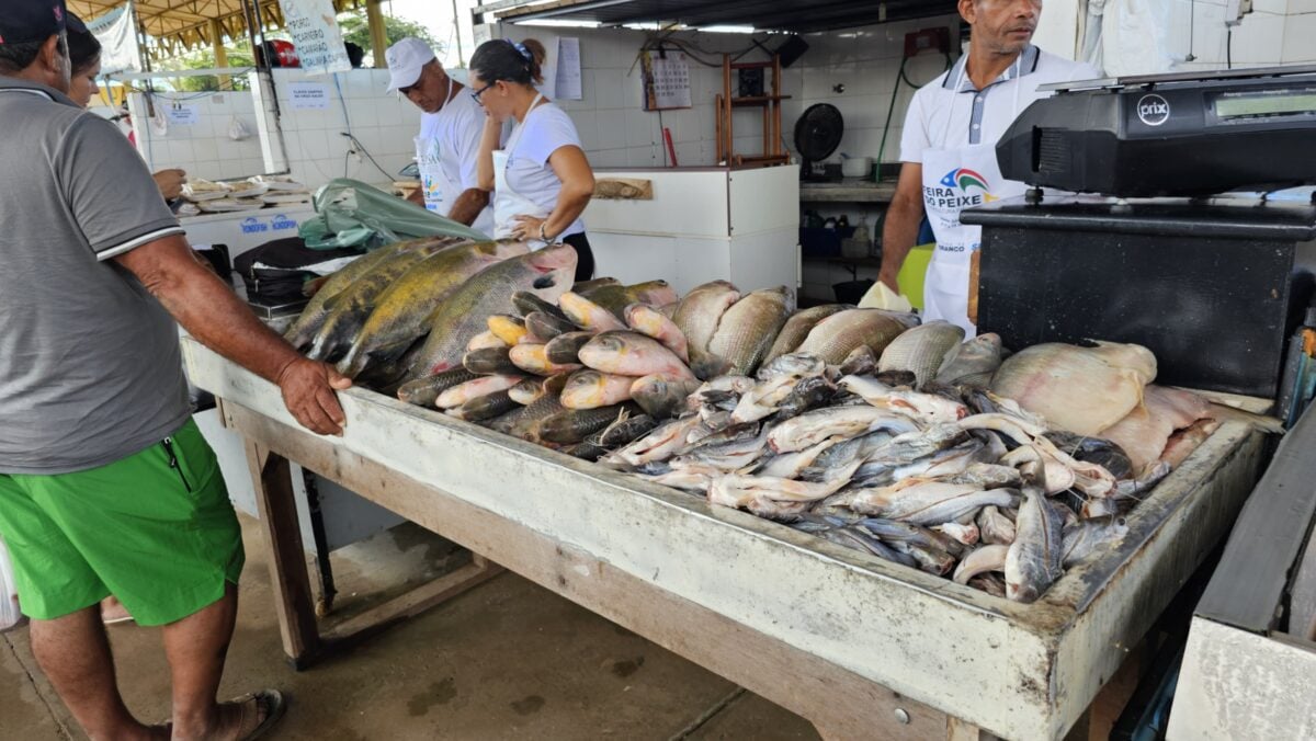 A Feira do Peixe acontece em diversos pontos da cidade