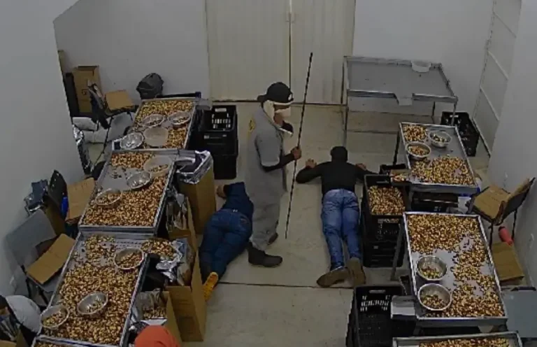 PolĂcia prende dupla acusada de ter invadido e roubado fĂĄbrica de castanhas no Acre