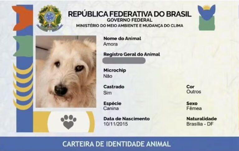 ‘RG Animal’: passo a passo para criar documento gratuito para cães e gatos