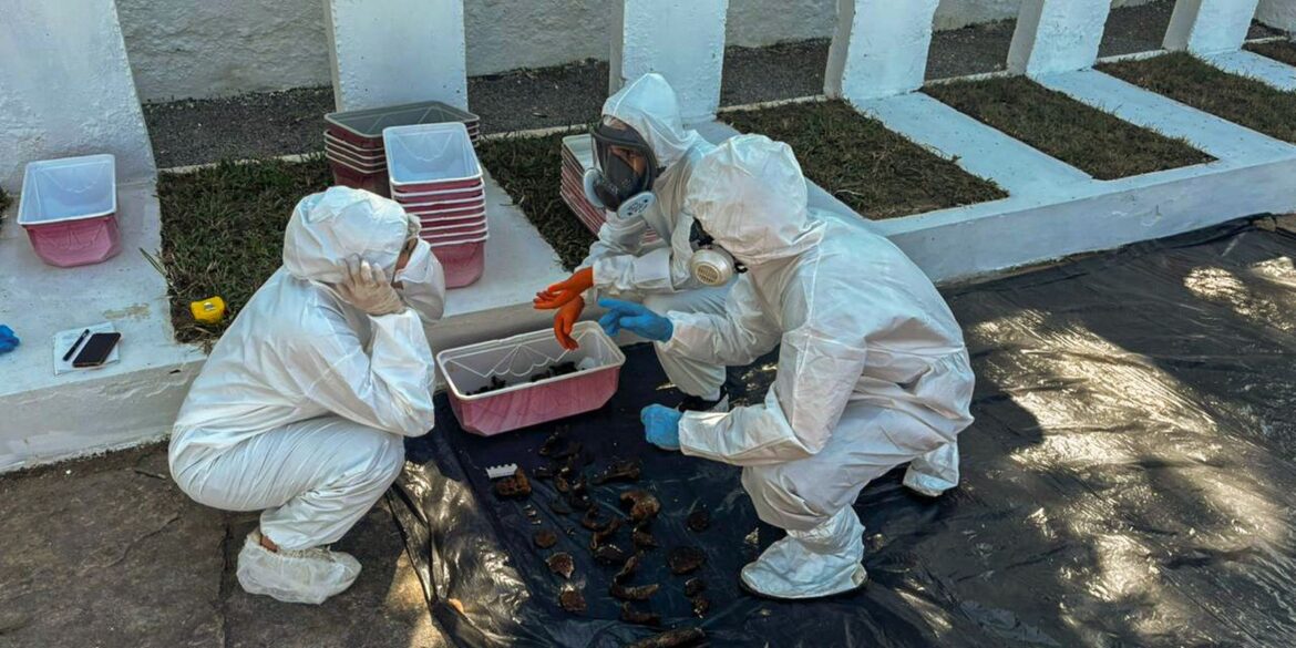 rio:-equipe-encontra-memorial-para-mortos-da-ditadura-em-deterioracao