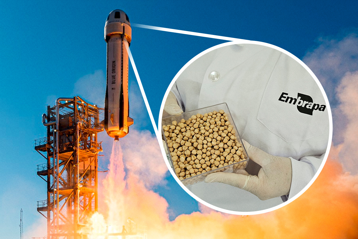 grao-de-bico-no-espaco:-como-o-brasil-planta-o-futuro-fora-da-terra