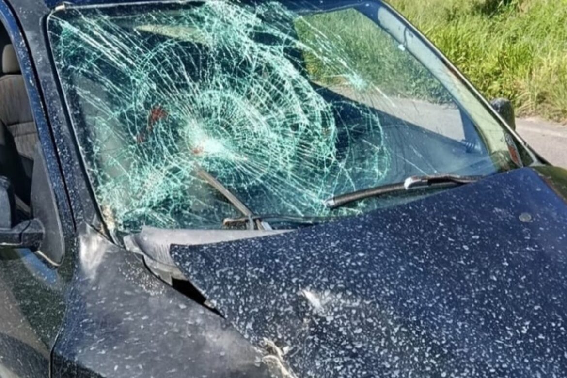 acidente-deixa-motociclista-ferido;-motorista-de-carro-levava-cerveja