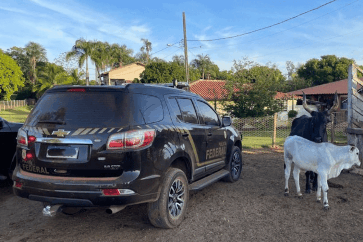 pf-bloqueia-r$-600-milhoes-de-suspeitos-de-grilagem-em-terras-da-uniao