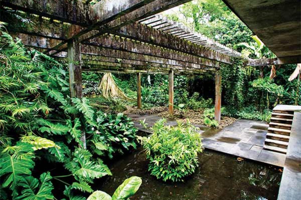 uma-conversa-entre-burle-marx,-clarice-lispector,-deus-e-a-tristeza