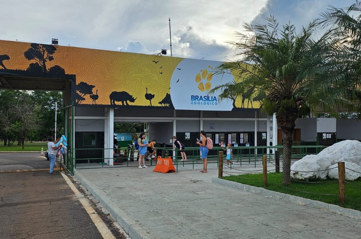 pato-e-pombo-mortos-levantaram-suspeitas-de-gripe-aviaria-no-df