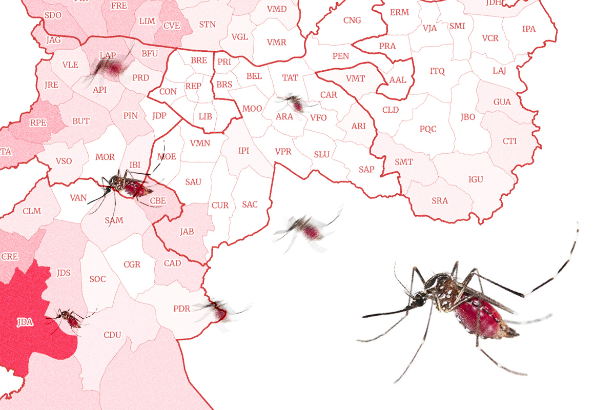 norte-de-sp-lidera-epidemia-de-dengue,-mas-pior-distrito-fica-no-sul