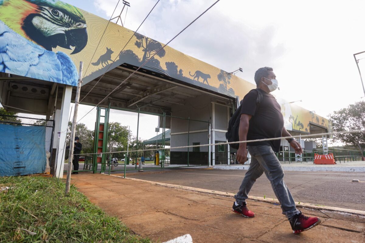 aves-mortas-no-zoo:-como-suspeita-de-gripe-aviaria-sera-investigada