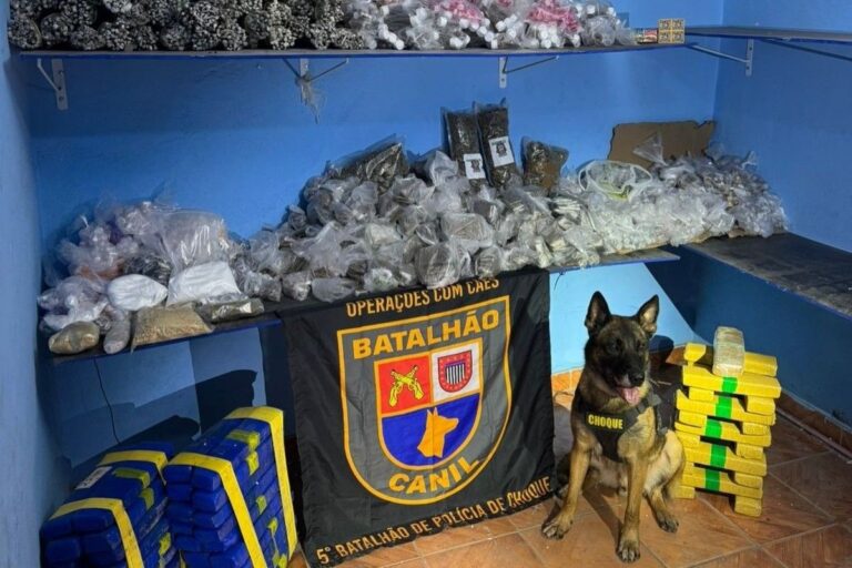 Cão farejador encontra passagem secreta com “cofre” de drogas em casa