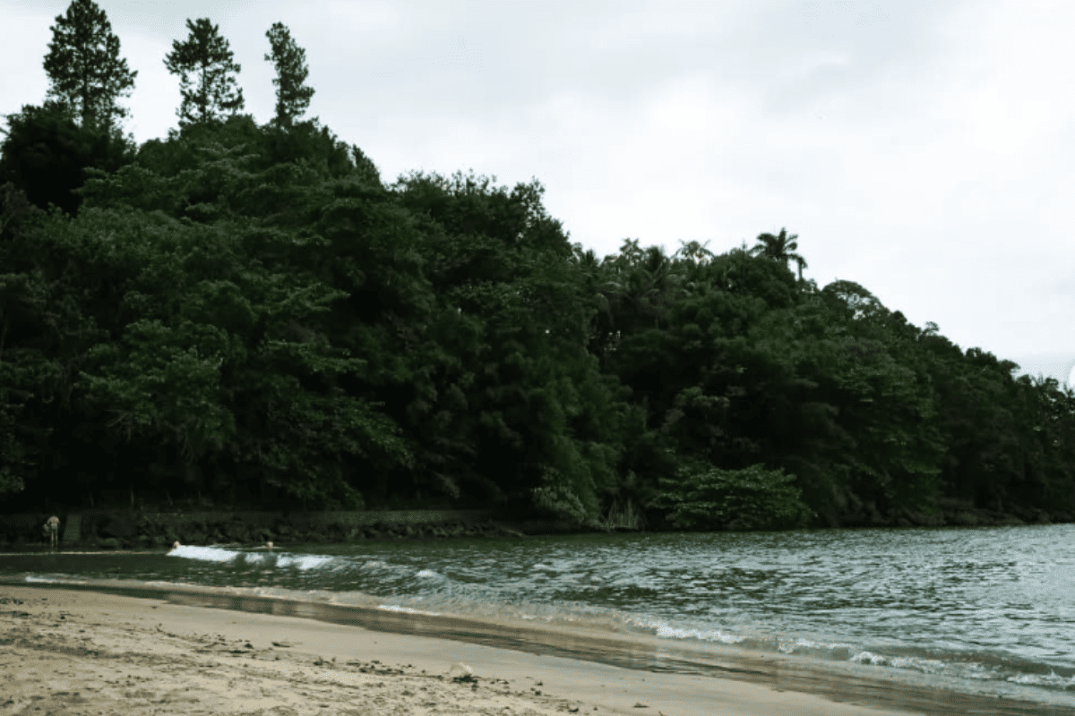 apos-morte,-ubatuba-nega-bacteria-comedora-de-carne-em-praia-da-cidade