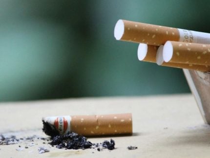 quer-parar-de-fumar?-nutricionista-orienta-como-a-dieta-pode-ajudar-no-processo