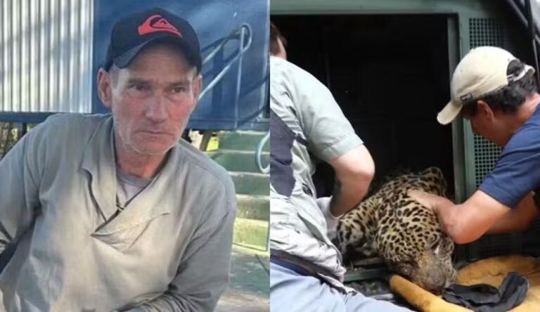 Laudo confirma que caseiro atacado por onça-pintada foi morto com mordida na cabeça