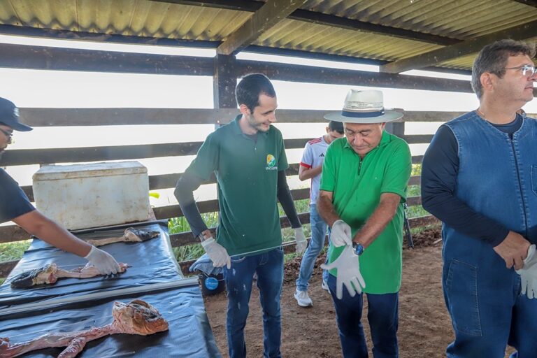 Prefeitura de Rio Branco e UFAC oferecem curso de inseminação artificial em gado leiteiro