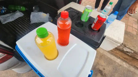 MARCHA-PARA-JESUS-2025 (3)