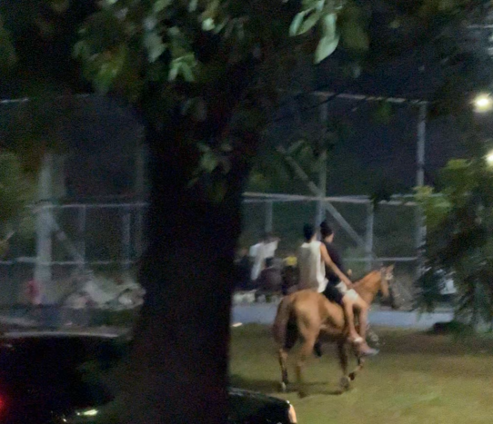 Garotos passeiam a cavalo no Parque Tucumã e cena chama atenção; veja vídeo Garotos passeiam a cavalo no Parque Tucumã e cena chama atenção; veja vídeo