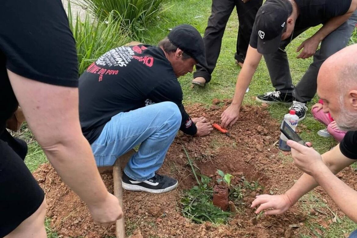 corintianos-fazem-“corredor-verde”-com-arvores-ate-o-itaquerao