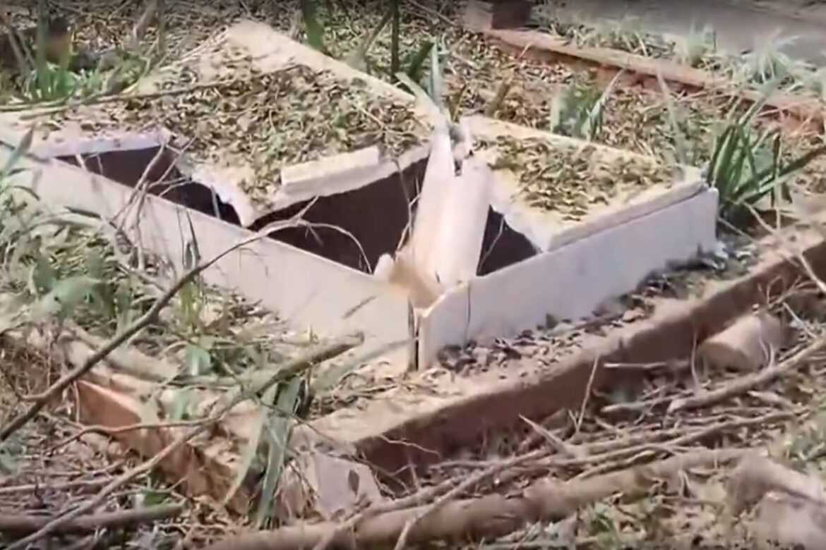 asa-sul:-arvore-cai-e-danifica-tumulos-no-cemiterio-campo-da-esperanca