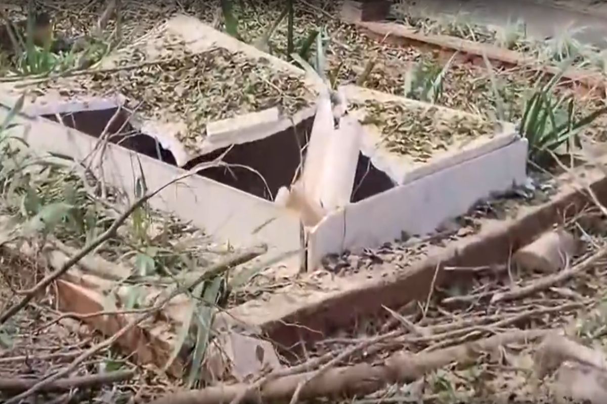 asa-sul:-arvore-cai-e-danifica-tumulos-no-cemiterio-campo-da-esperanca