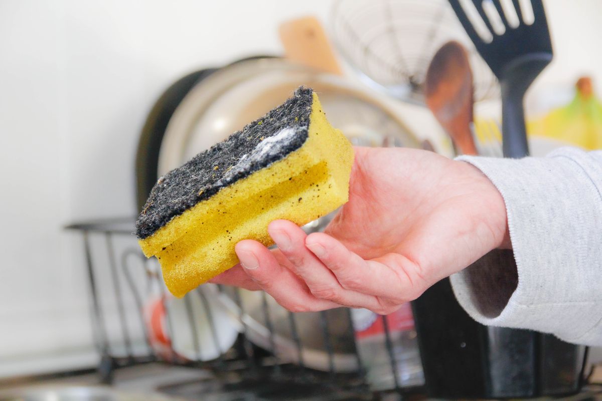 voce-sabe-quando-trocar-sua-esponja-de-lavar-louca?-expert-faz-alerta