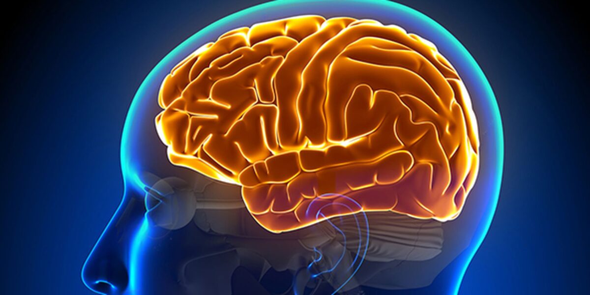 entenda-a-hidrocefalia-normobarica,-causa-da-cirurgia-de-chico-buarque
