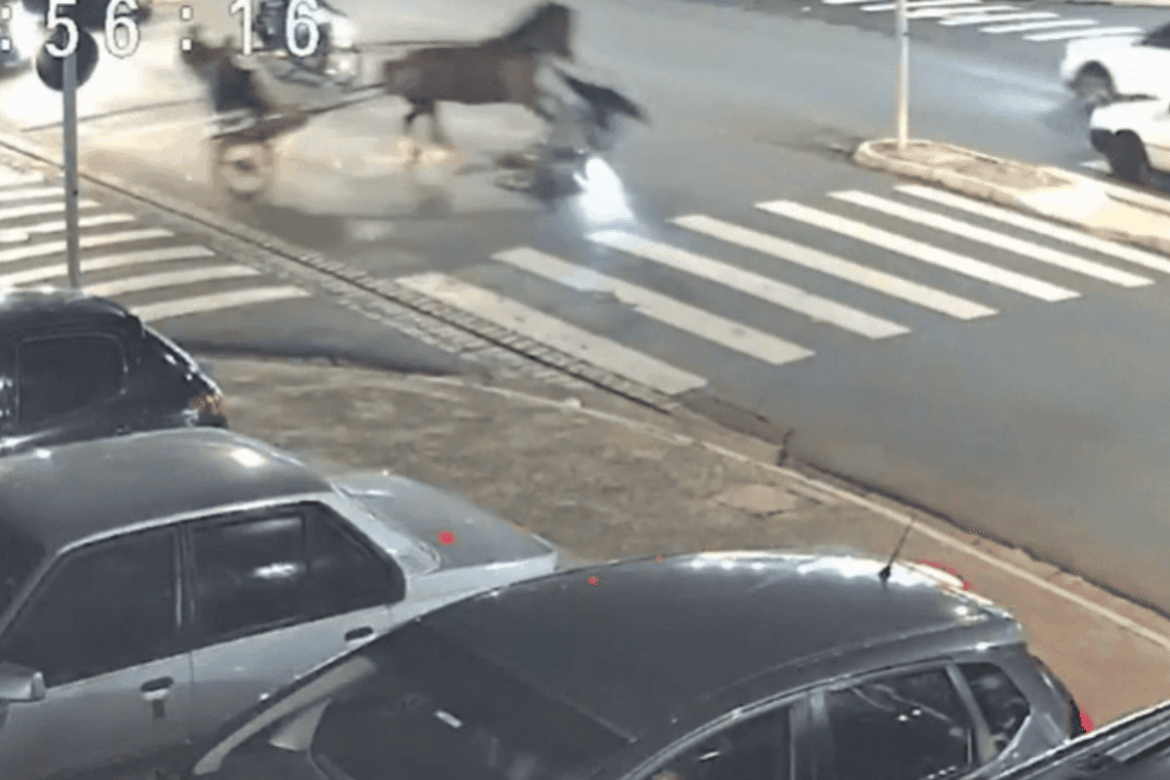 video:-cavalo-passa-em-farol-vermelho-e-atropela-motociclista-em-sp