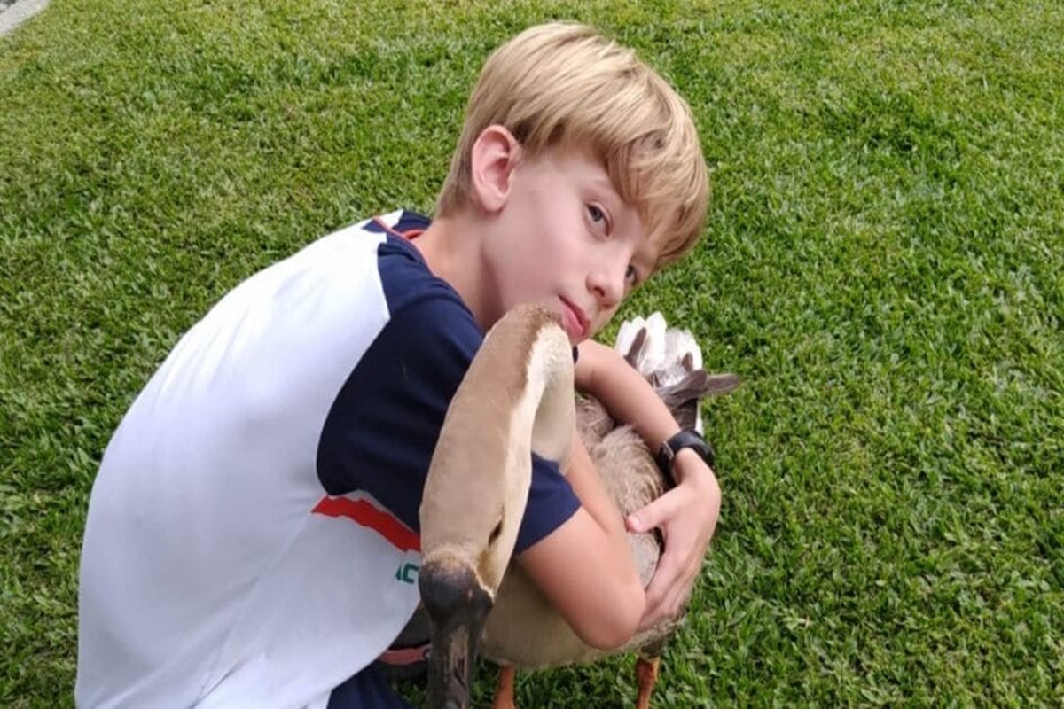 sc:-amigo-de-menino,-ganso-desaparece-e-familia-tenta-acha-lo