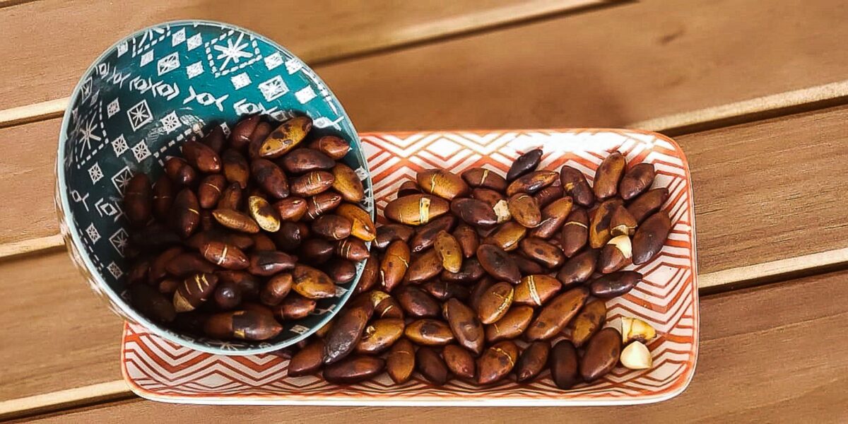 redes-comunitarias-fornecem-sementes-para-restauracao-ambiental