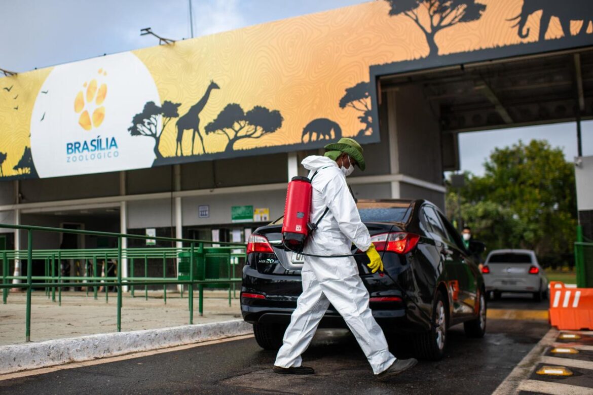 zoo-de-brasilia-seguira-fechado-apos-nova-suspeita-de-gripe-aviaria