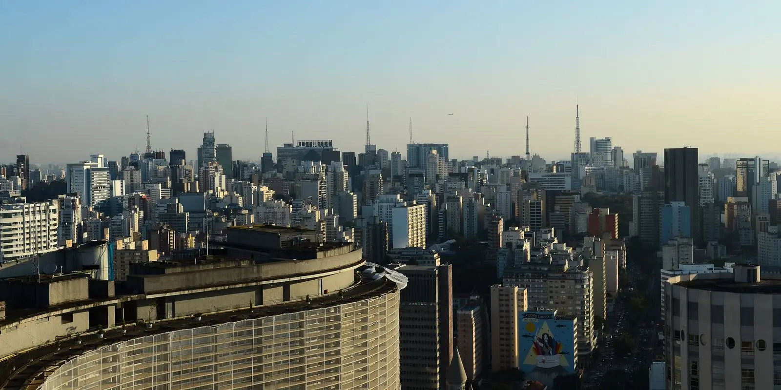 Prédios com vidraças nas cidades ameaçam aves, aponta pesquisa