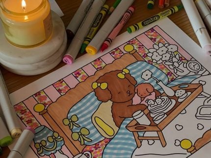 o-que-e-bobbie-goods?-saiba-tudo-sobre-o-fenomeno-que-conquistou-todas-as-idades