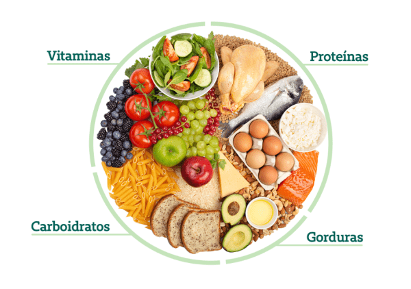 Nutrição em Pauta: Guia prático de como montar um prato saudável e sustentável