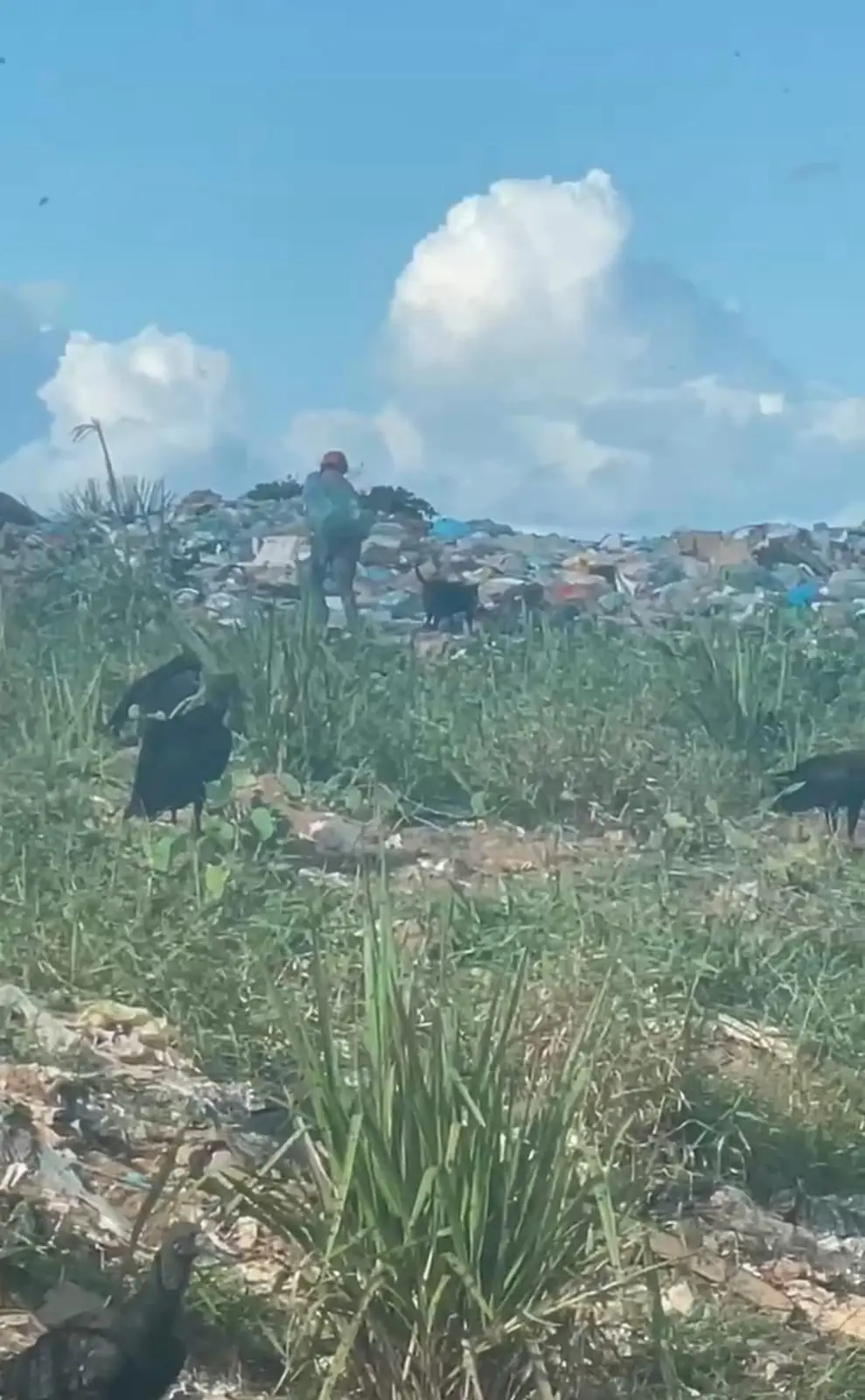 Trabalho infantil: vídeo mostra criança caminhando entre resíduos em lixão no Acre