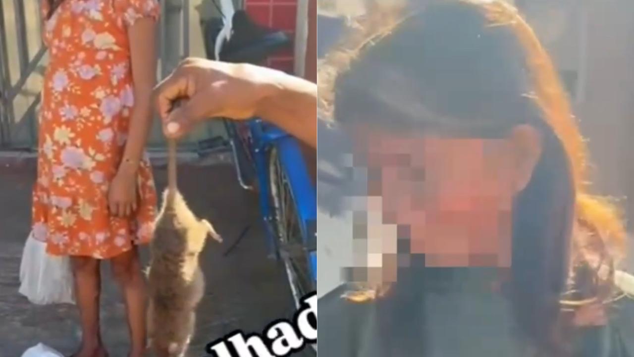 VÍDEO: mulher indígena é flagrada com rato para consumo em sacola, no Acre: “Vou comer”