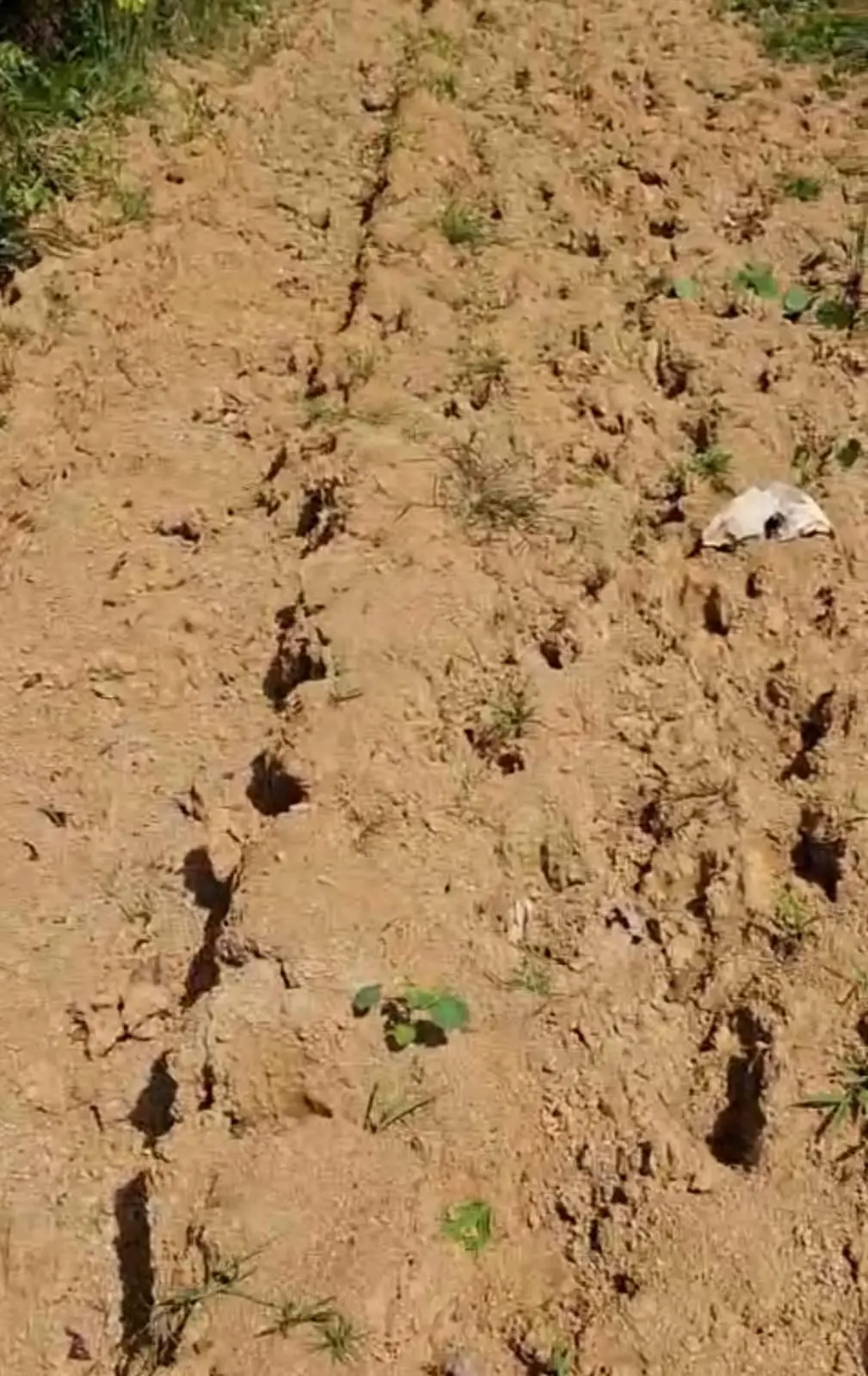 Moradores do Ramal do 40 expõem dificuldades enfrentadas na zona rural em Sena Madureira