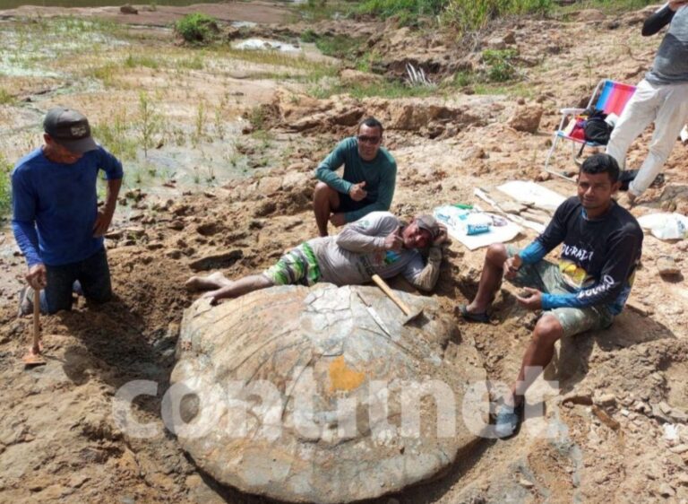 Fóssil de tartaruga gigante é encontrado em município no interior do Acre