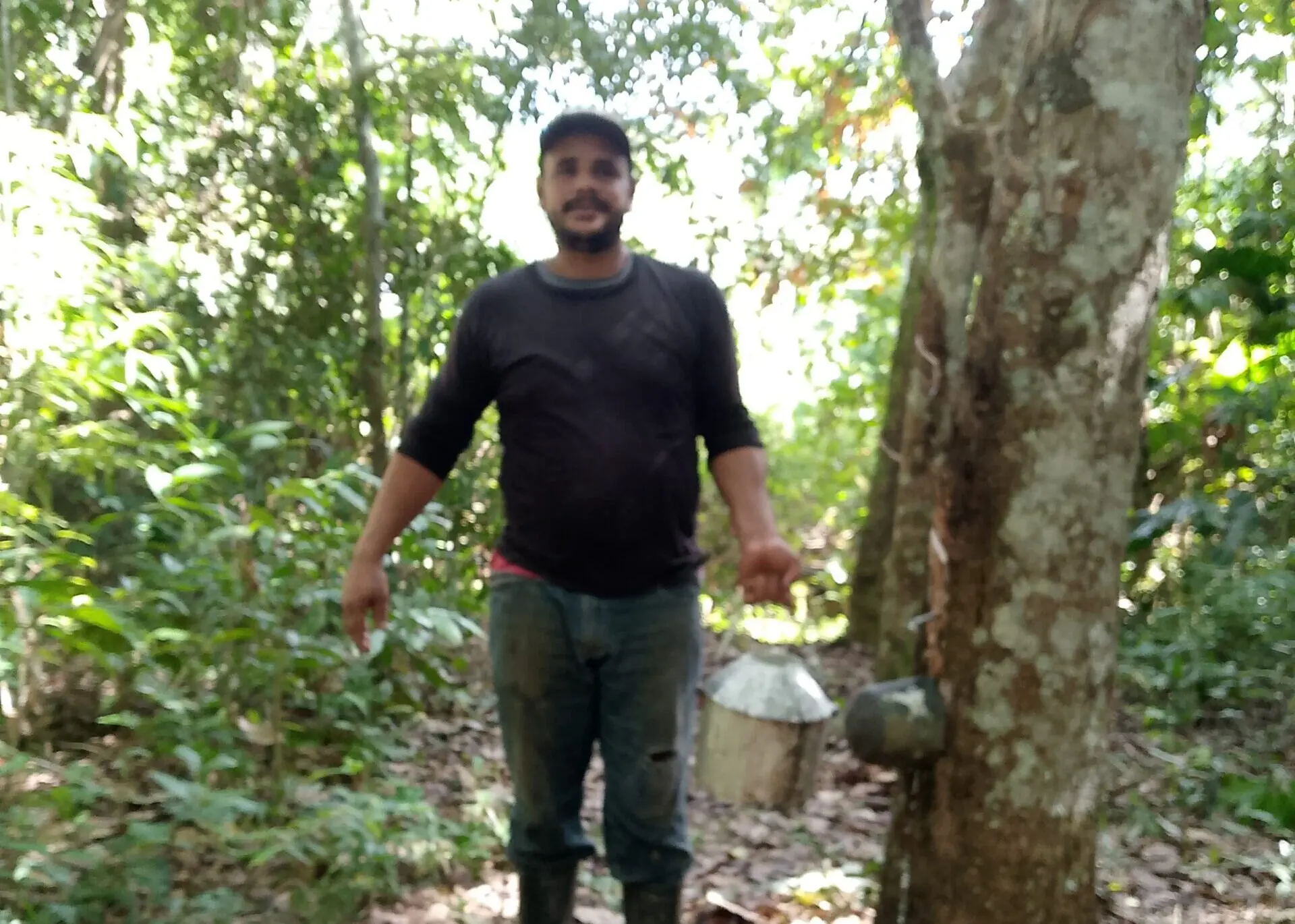 Vídeo: morador de seringal no Rio Iaco, extrativista mostra o dia a dia na extração do látex