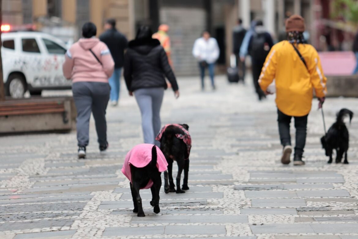 frio-em-sp:-minimas-ficam-proximas-aos-11oc-no-fim-de-semana