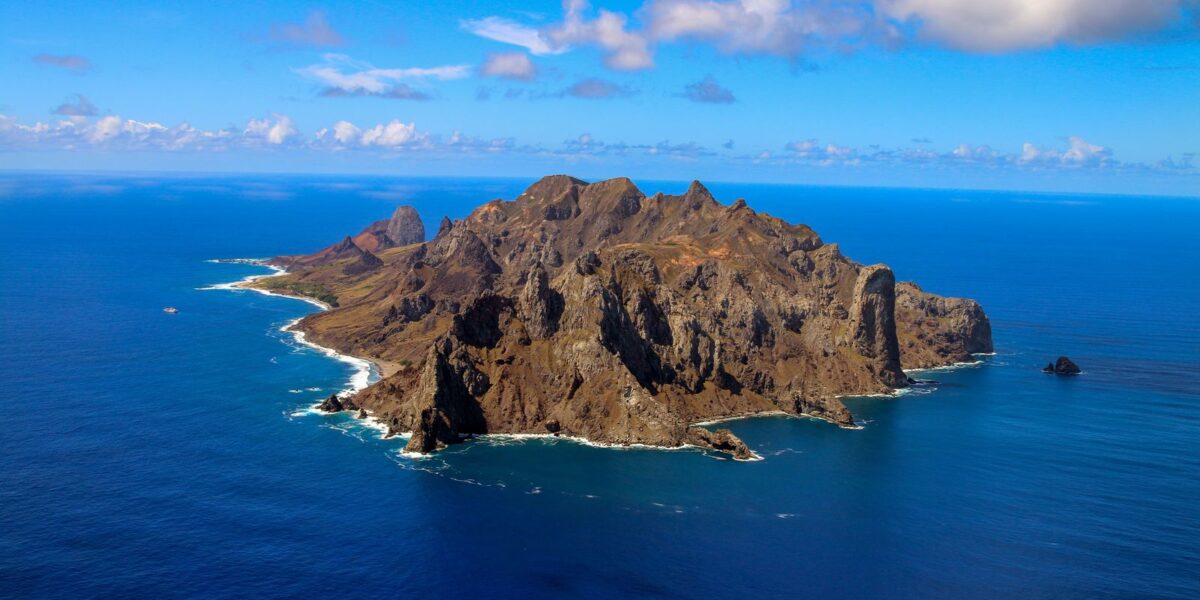 ilha-capixaba-aumenta-flora-nativa-e-e-modelo-de-restauracao-ambiental