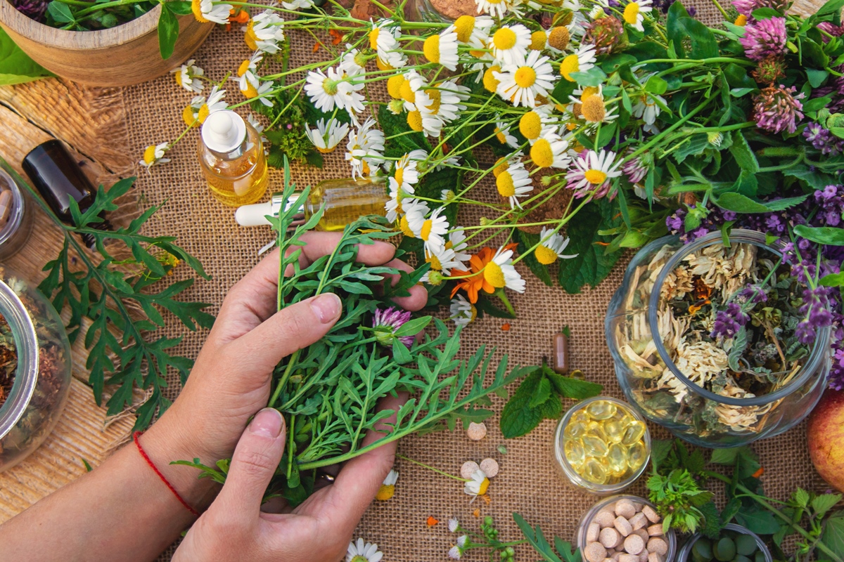 flor-da-paixao:-conheca-planta-poderosa-no-controle-da-ansiedade