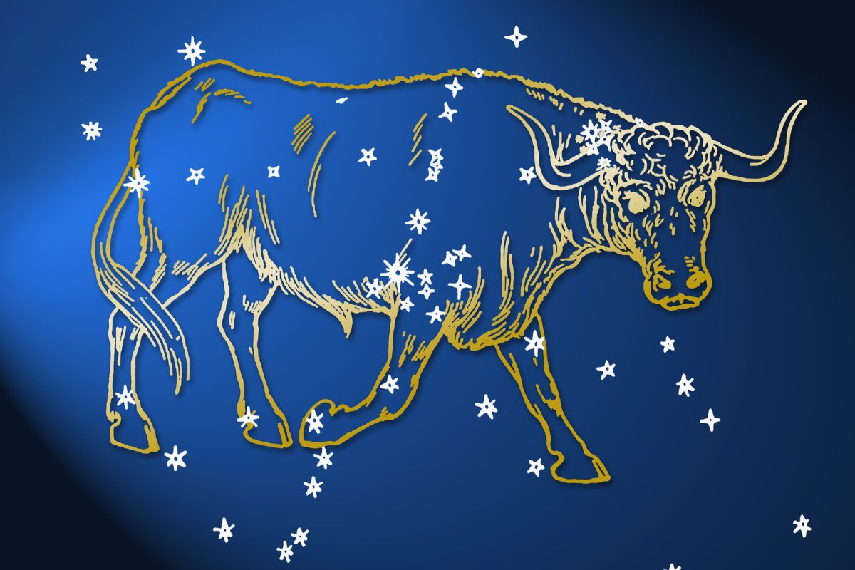 veja-o-que-nunca-fazer-se-quiser-conquistar-nativos-do-signo-de-touro