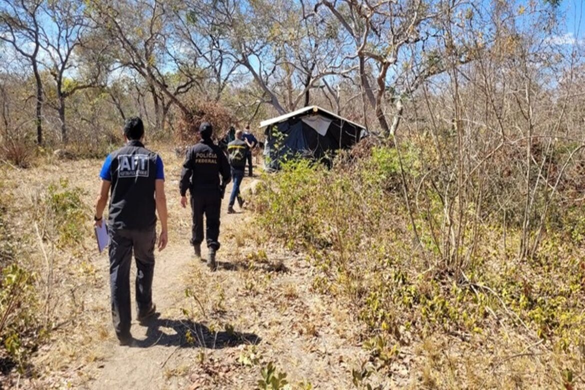 sem-agua-e-comida:-pf-resgata-trabalhadores-de-carvoarias-clandestinas