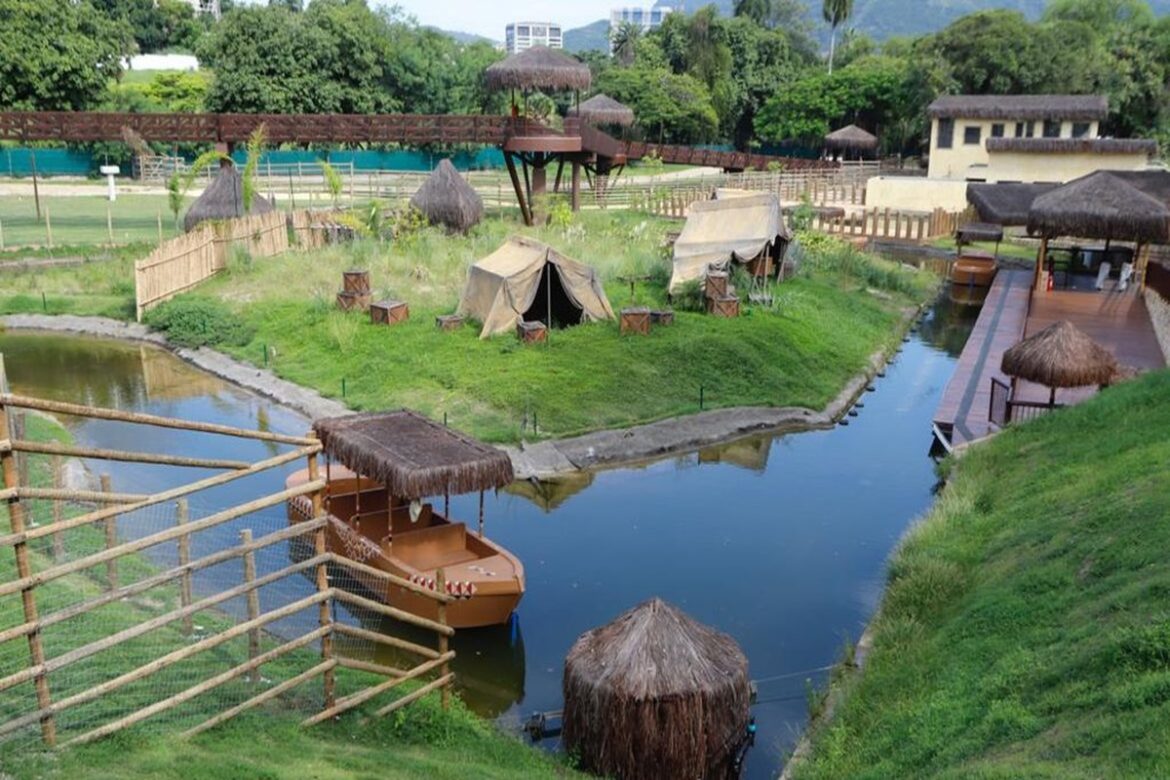 galinhas-d’angola-do-bioparque-no-rio-morreram-de-gripe-aviaria