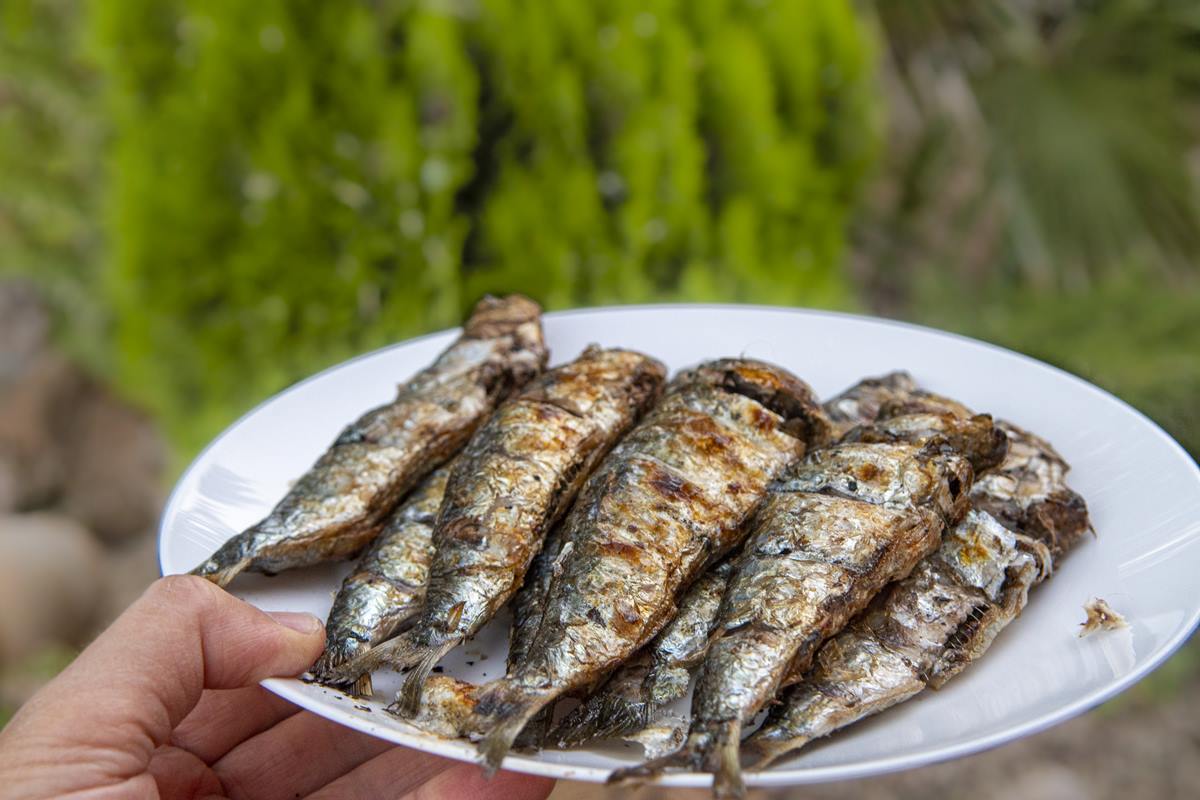 ingestao-adequada-de-zinco-pode-reduzir-risco-de-avc,-aponta-estudo