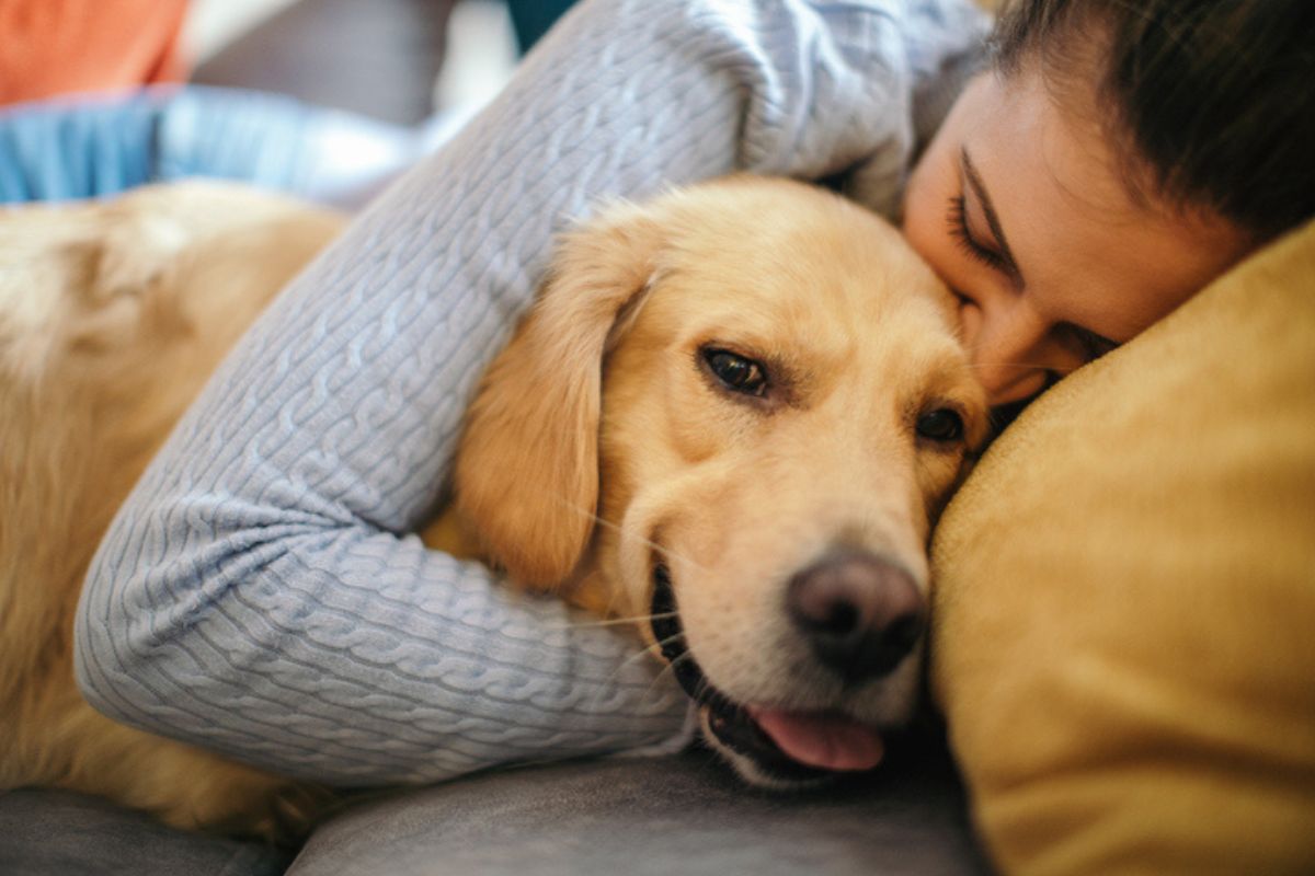 os-7-caes-mais-leais:-conheca-racas-que-nunca-abandonam-seus-tutores