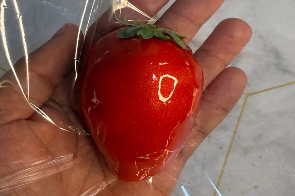 sumico-de-morangos-do-amor-gera-confusao-e-vira-caso-de-policia.-video