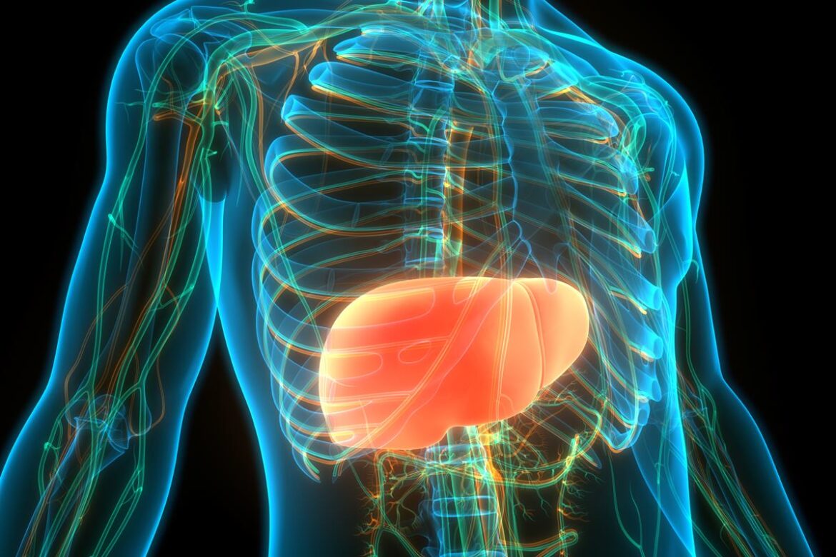 medico-aponta-qual-e-a-pior-bebida-para-quem-tem-gordura-no-figado